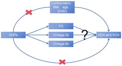 Causal link between metabolic related factors and osteoarthritis: a Mendelian randomization investigation